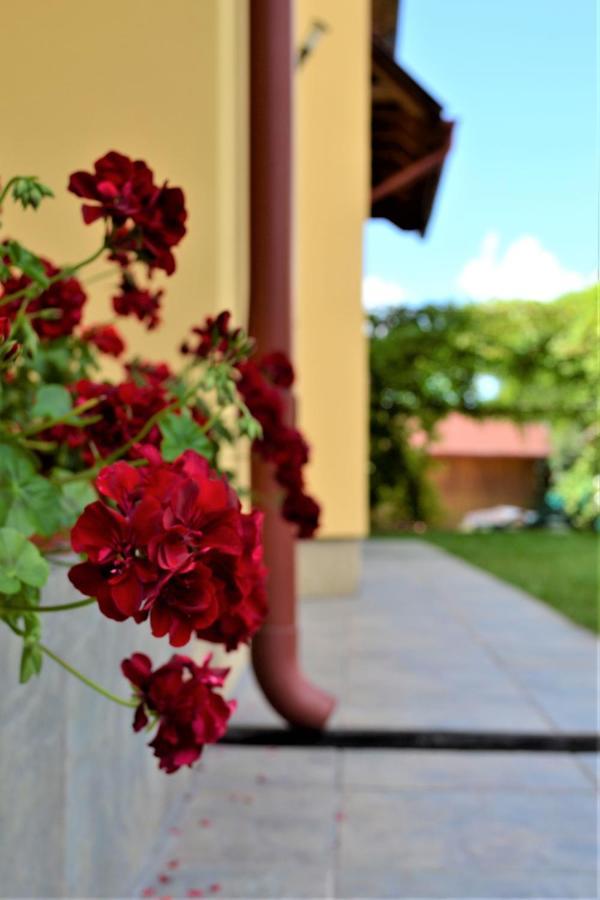 Villa Rozsi Mama Sovata Exterior foto