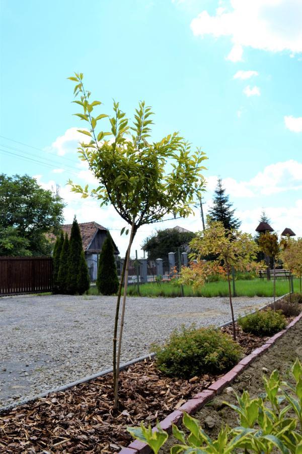 Villa Rozsi Mama Sovata Exterior foto